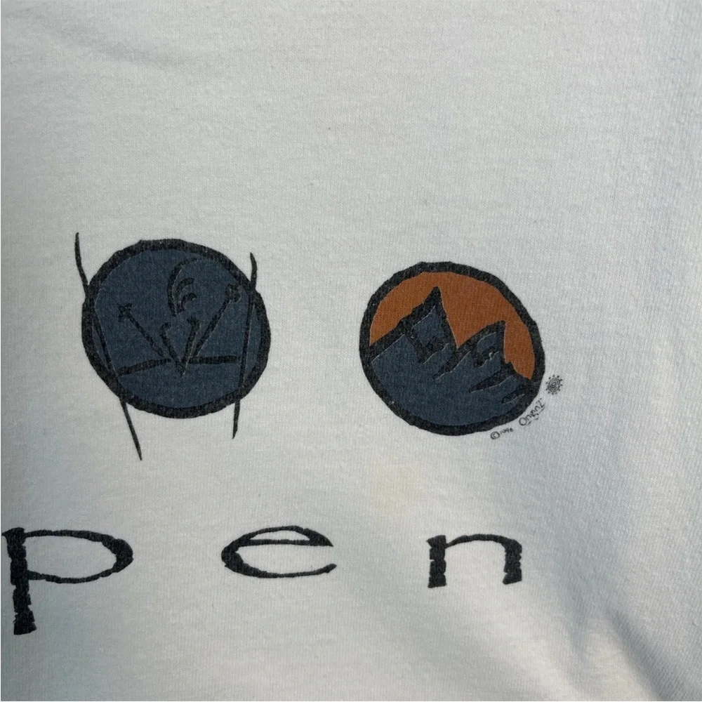 VTG 90’s Aspen Colorado Anvil Cotton Deluxe Long Sleeve Men’s Shirt Lg Skiing - Picture 5 of 13